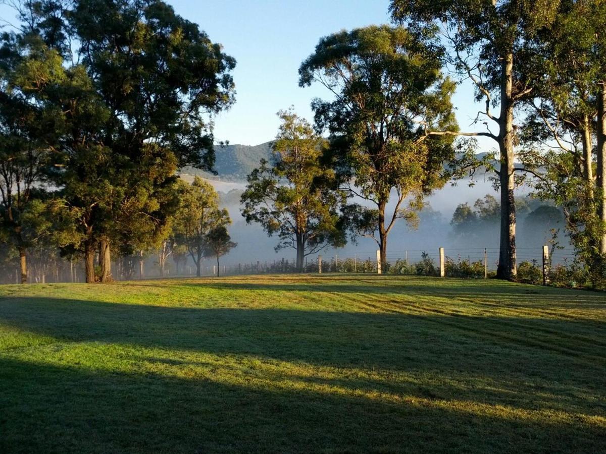 Elfin Hill Vineyard Accommodation Pokolbin Extérieur photo