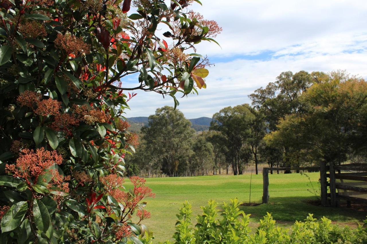 Elfin Hill Vineyard Accommodation Pokolbin Extérieur photo